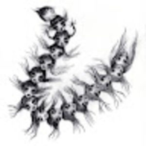 Meet your Posher, Chloe